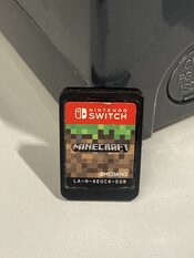 Minecraft Nintendo Switch