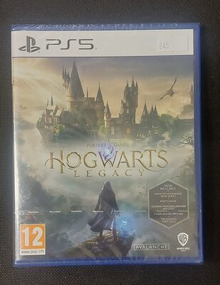 Hogwarts Legacy PlayStation 5