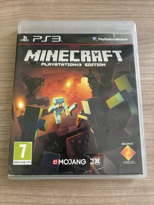 Minecraft PlayStation 3