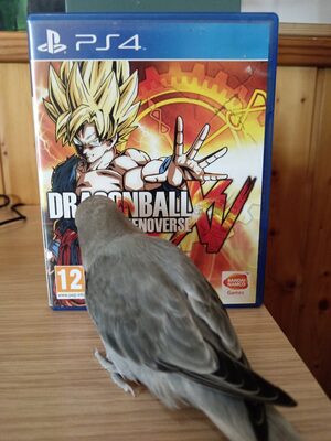 Dragon Ball Xenoverse PlayStation 4