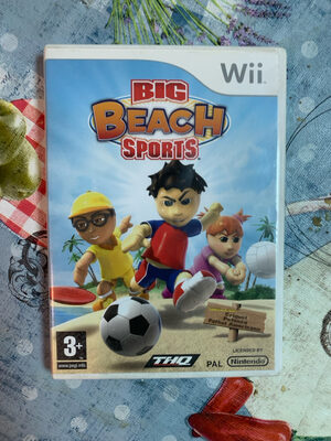 Big Beach Sports Wii