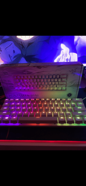 Razer Huntsman Mini