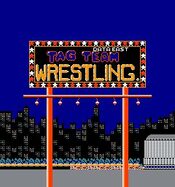 Buy Tag Team Wrestling NES