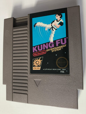 Kung Fu NES