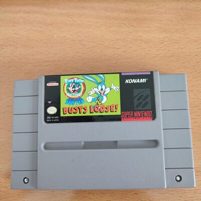 Tiny Toon Adventures: Buster Busts Loose! SNES