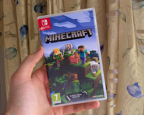 Minecraft Nintendo Switch