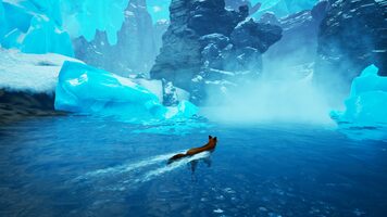 Spirit of the North PlayStation 4