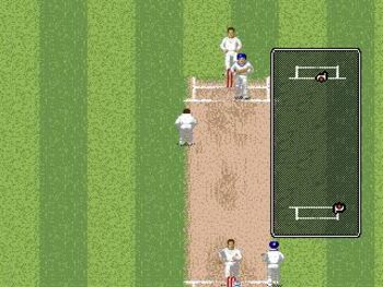 Get Brian Lara Cricket '96 SEGA Mega Drive