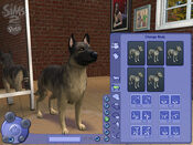 Buy The Sims 2: Pets PlayStation 2