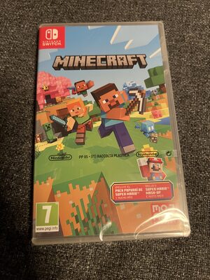 Minecraft Nintendo Switch