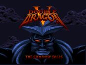Double Dragon V: The Shadow Falls SNES for sale