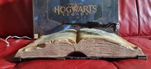 Hogwarts Legacy PlayStation 5 Collector's Edition komplektas