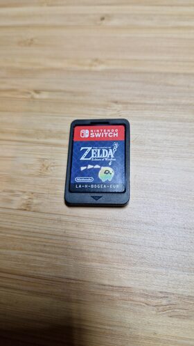 The Legend of Zelda: Echoes of Wisdom Nintendo Switch