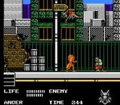 Buy Werewolf: The Last Warrior NES