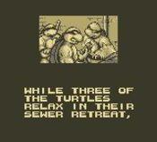 Teenage Mutant Ninja Turtles III: Radical Rescue Game Boy