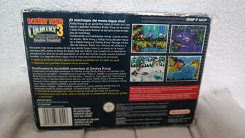 Buy Donkey Kong Country 3: Dixie Kong's Double Trouble SNES