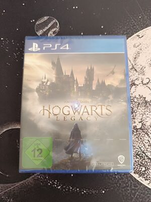 Hogwarts Legacy PlayStation 4