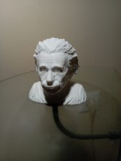 Buy figura busto Albert Einstein Físico