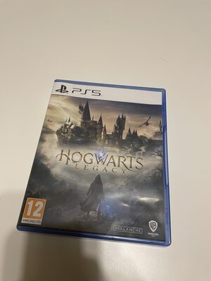 Hogwarts Legacy PlayStation 5