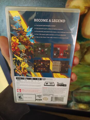 Wizard of Legend Nintendo Switch