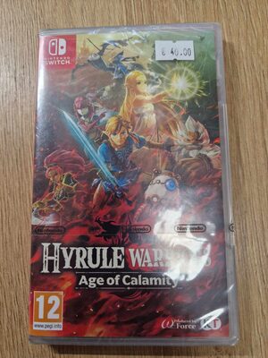 Hyrule Warriors: Age of Calamity Nintendo Switch