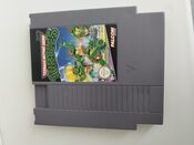 Teenage Mutant Ninja Turtles: Tournament Fighters SNES