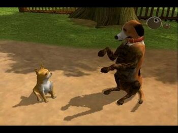 Buy Dog's Life PlayStation 2