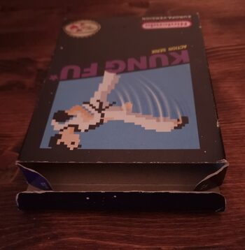 Kung Fu NES