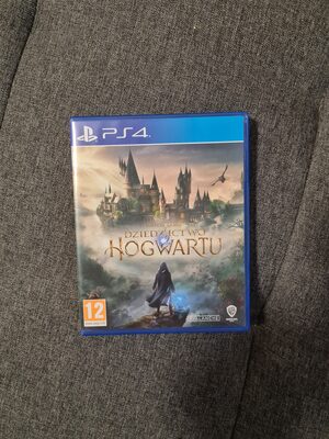 Hogwarts Legacy PlayStation 4