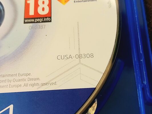 Detroit: Become Human PlayStation 4