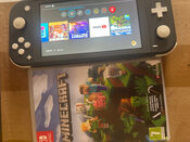 Nintendo switch lite + Minecraft