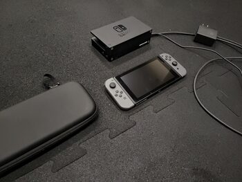 nintendo switch grey