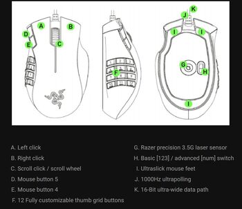 Razer RZ01-0104 Naga Limited Green Edition MMO gaming Šviečianti Žaidimų Pelė