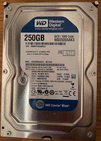 Kietasis diskas HDD Western Digital 250GB, 3.5”