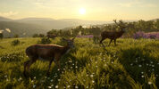 Redeem theHunter: Call of the Wild - Cuatro Colinas Game Reserve (DLC) (PC) Steam Key EUROPE
