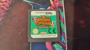 Animal Crossing: Wild World Nintendo DS