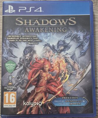 Shadows: Awakening PlayStation 4