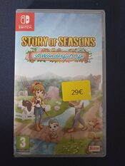 Story of Seasons: A Wonderful Life Nintendo Switch