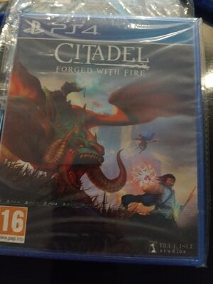 Citadel: Forged with Fire PlayStation 4