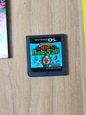 Redeem Freshly-Picked Tingle’s Rosy Rupeeland Nintendo DS