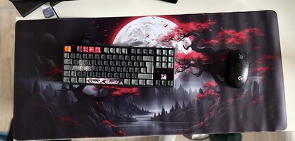 Pelės kilimėlis 90x40