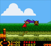 Buy Shantae Game Boy Color