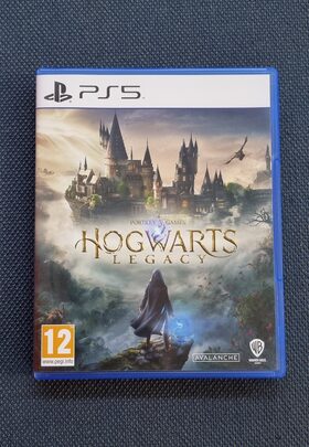 Hogwarts Legacy PlayStation 5