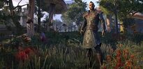 Buy The Elder Scrolls Online: Morrowind - The Discovery Pack (DLC) Official Website Key GLOBAL