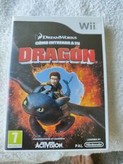 How to Train Your Dragon Wii