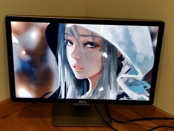 22" coliu Monitorius DELL P2214Hb