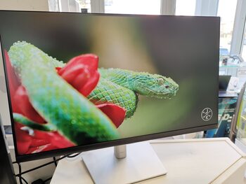 Monitorius Dell P2422h su Garantija