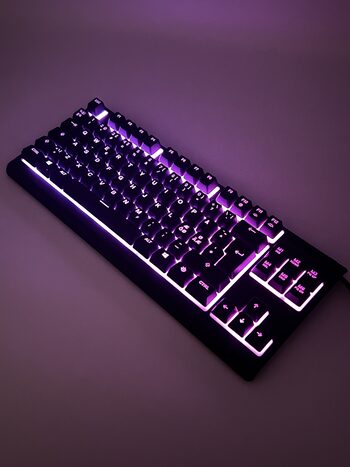 Buy SteelSeries APEX 3 TKL Membraninė Gaming Klaviatūra