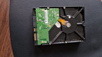 Buy Western Digital 1 TB HDD Storage