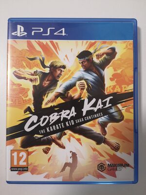 Cobra Kai: The Karate Kid Saga Continues PlayStation 4